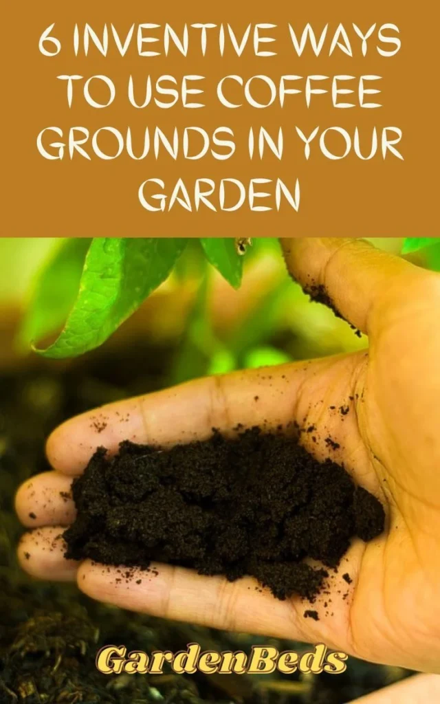 6 Inventive Ways to Use Coffee Grounds in Your Garden | Uses for coffee