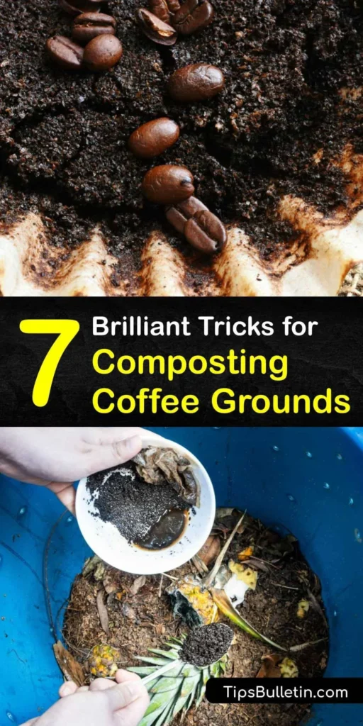7 brilliant tricks for composting coffee grounds – Artofit
