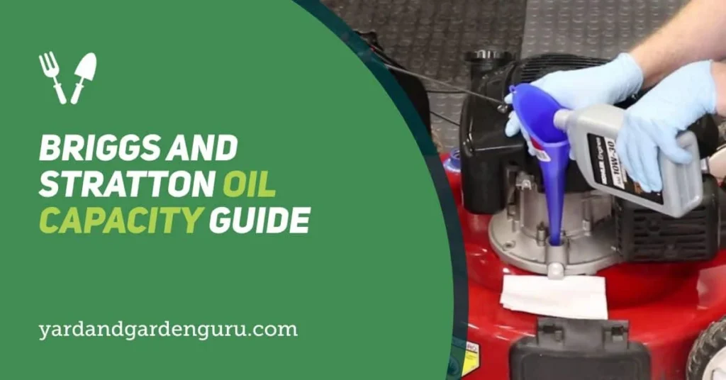 Briggs And Stratton Oil Capacity Guide, 58% OFF