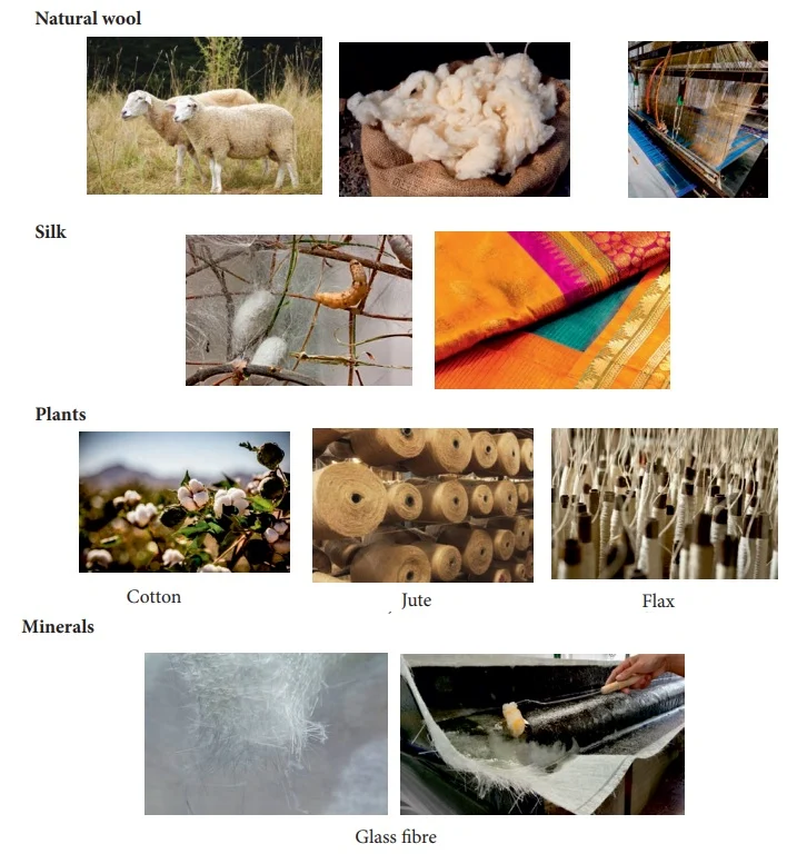 Fibres - Polymer Chemistry | Term 3 Unit 3 | 7th Science