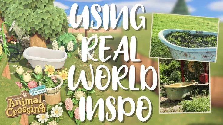 Overcome Your Creative Block With Real World Inspiration | Animal