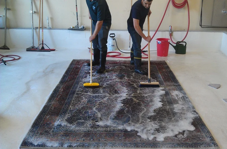 Rug Cleaning: A Comprehensive Guide to Keeping Your Rugs Fresh - Tech