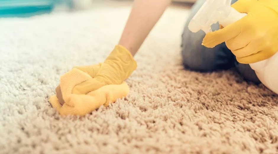 Seasonal Care Tips for a White Rug: Keeping Them Fresh Year-Round