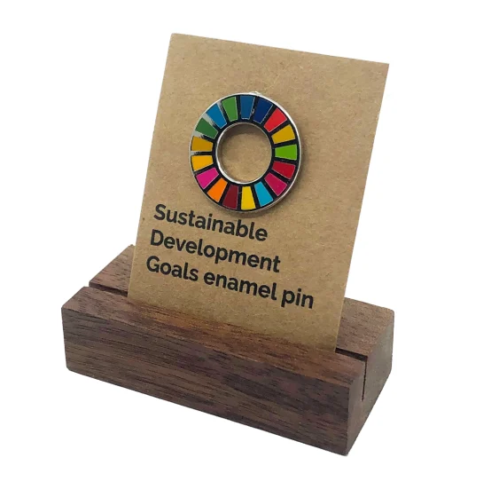 Sustainable Development Goals Pins - SDG Pins