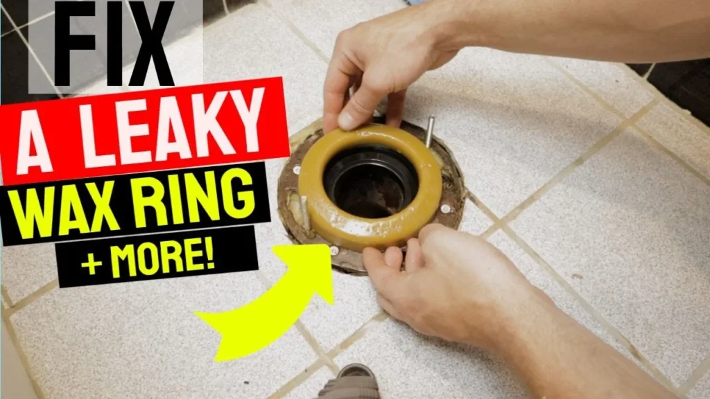 Why Does My Toilet Wax Ring Keep Leaking at Esther Parr blog