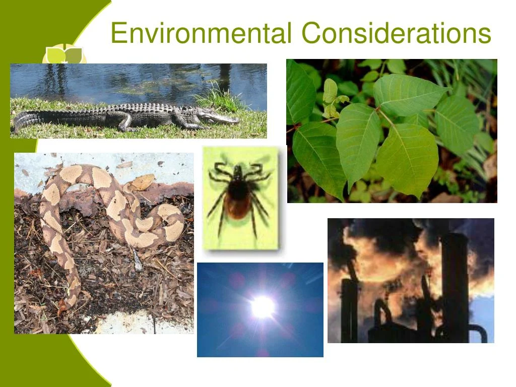 PPT - Children and Nature Initiative PowerPoint Presentation, free