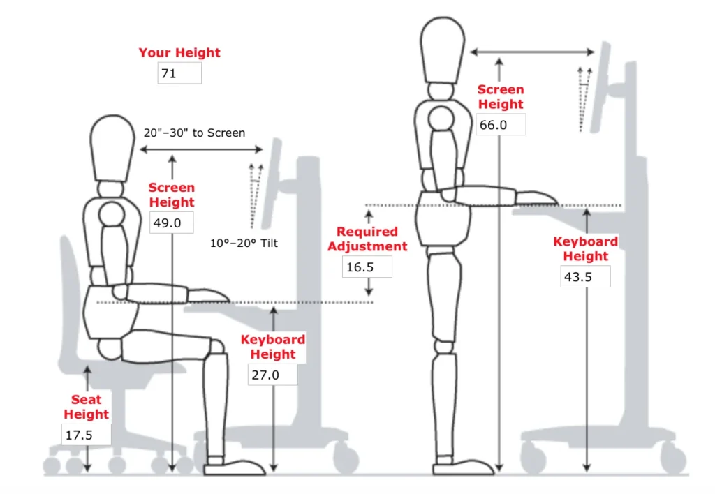 Height, Proportion, and Ergonomics: Getting the Measurements Right